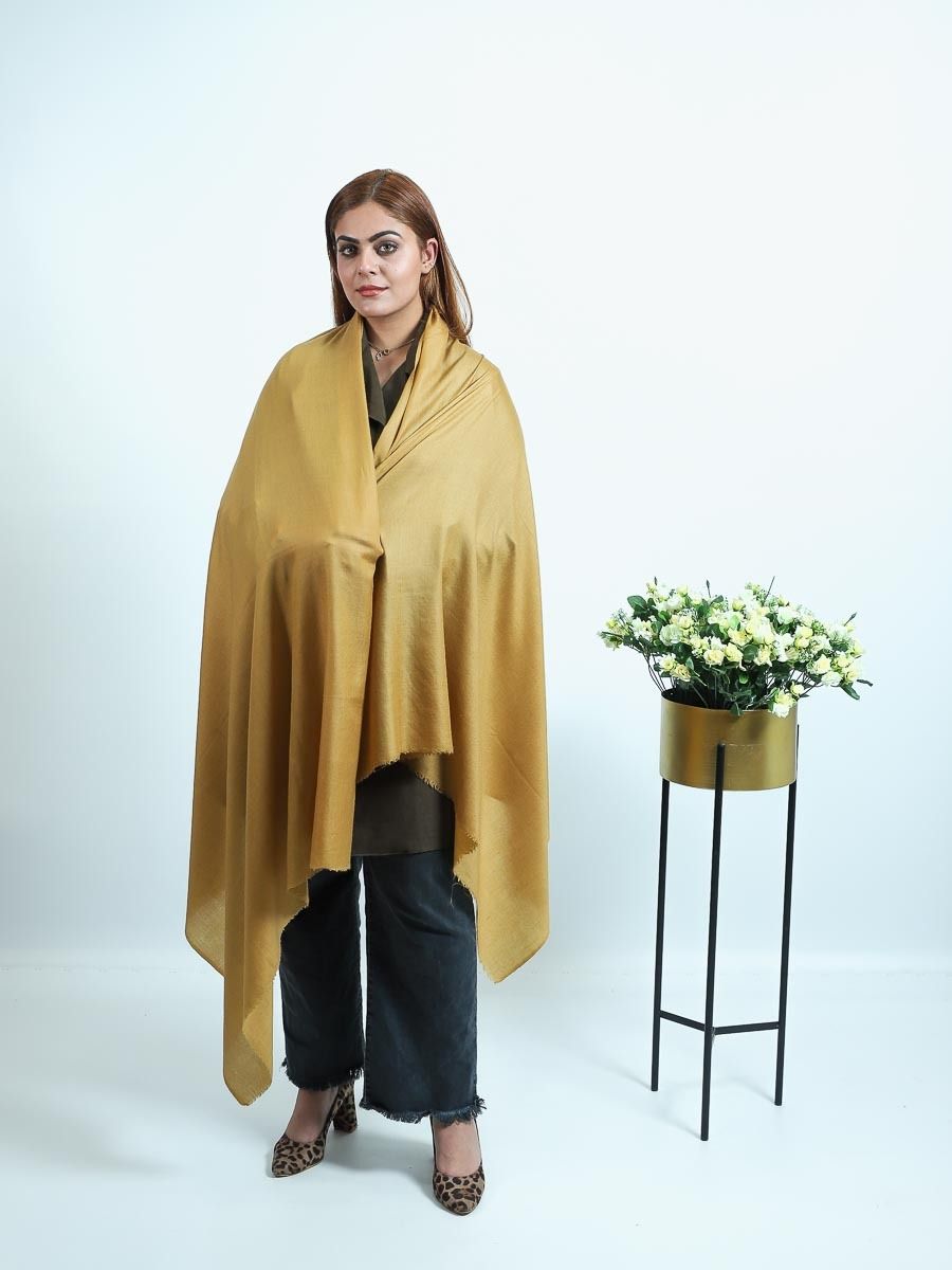 pashmina plain shawls