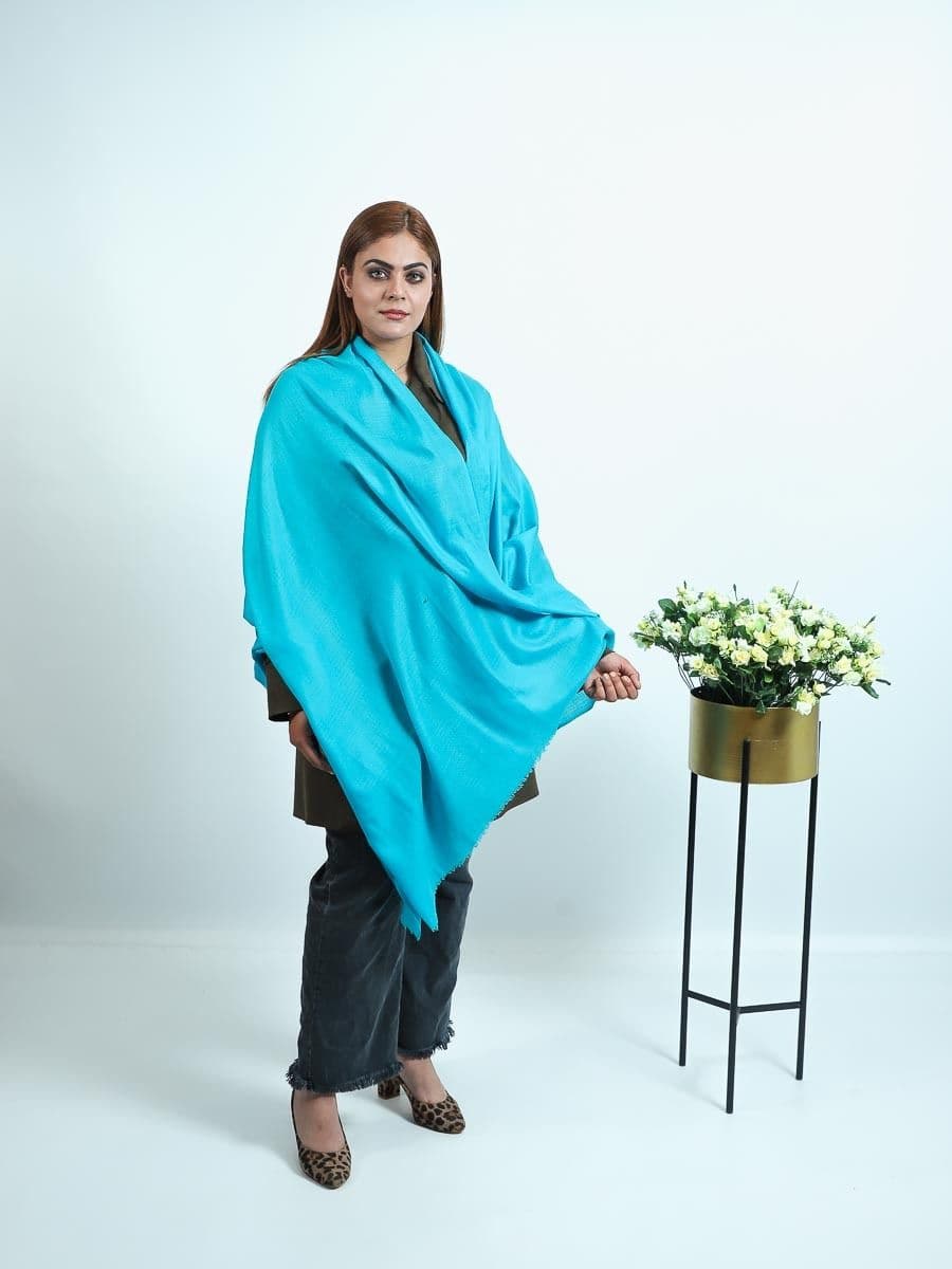pashmina plain shawls