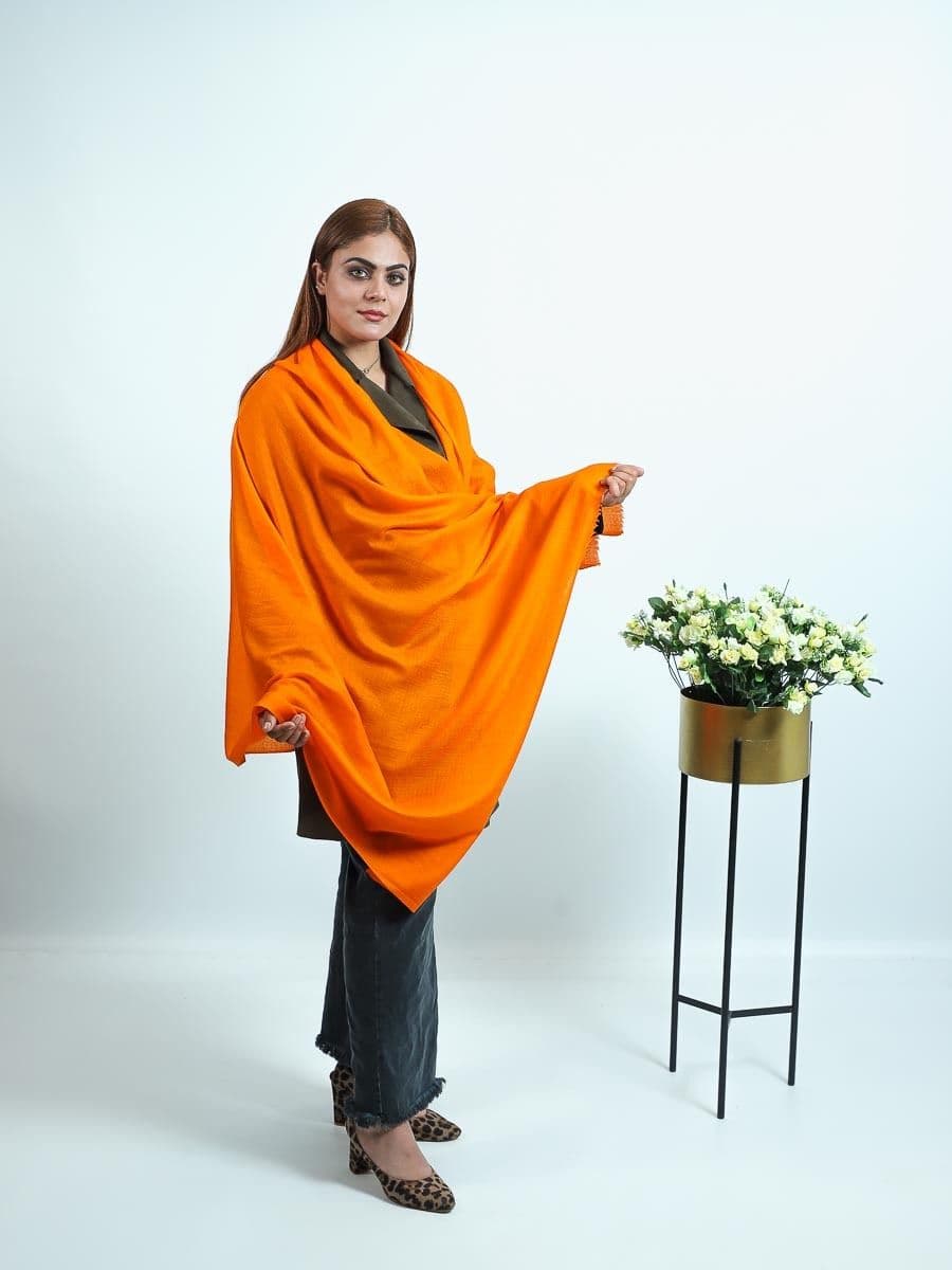 pashmina plain shawls amber