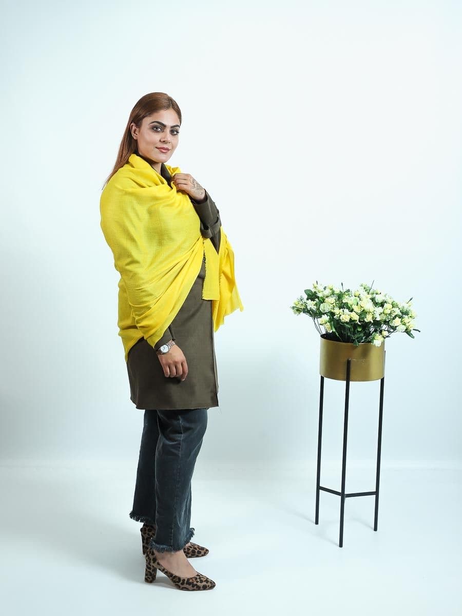 pashmina plain shawls yellow